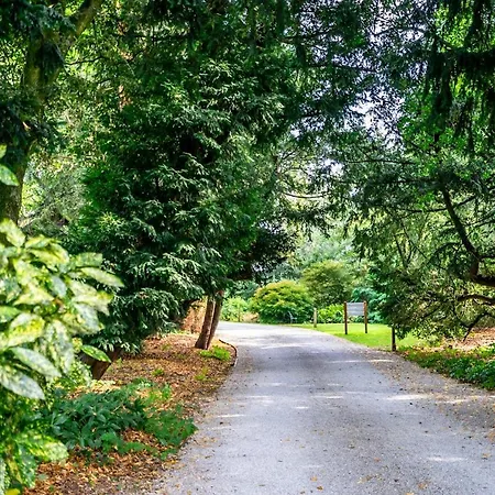 Middlethorpe Manor - No 4 Relaxation And Peace *