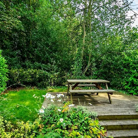 Tatil Evi Middlethorpe Manor - No 4 Relaxation And Peace *